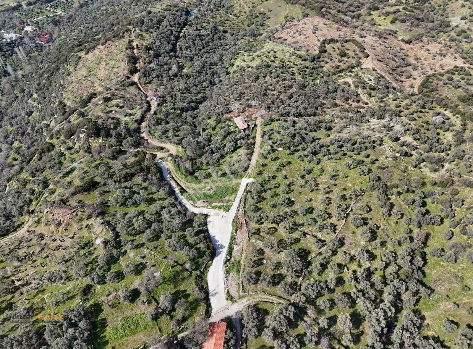 Yönter Emlaktan Kaplan'da 930 M² Arsa - Görsel 28