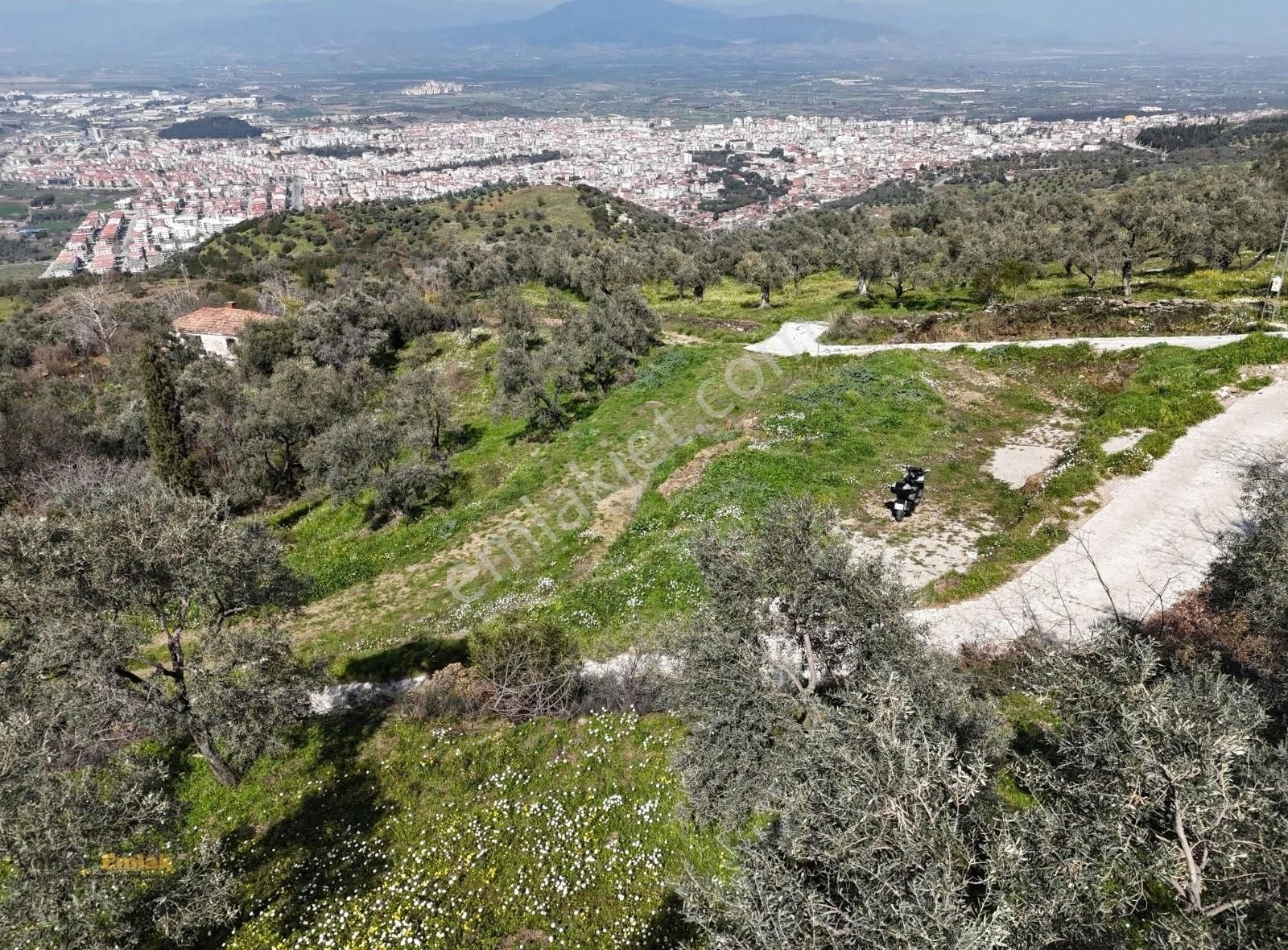 Yönter Emlaktan Kaplan'da 930 M² Arsa - Görsel 24