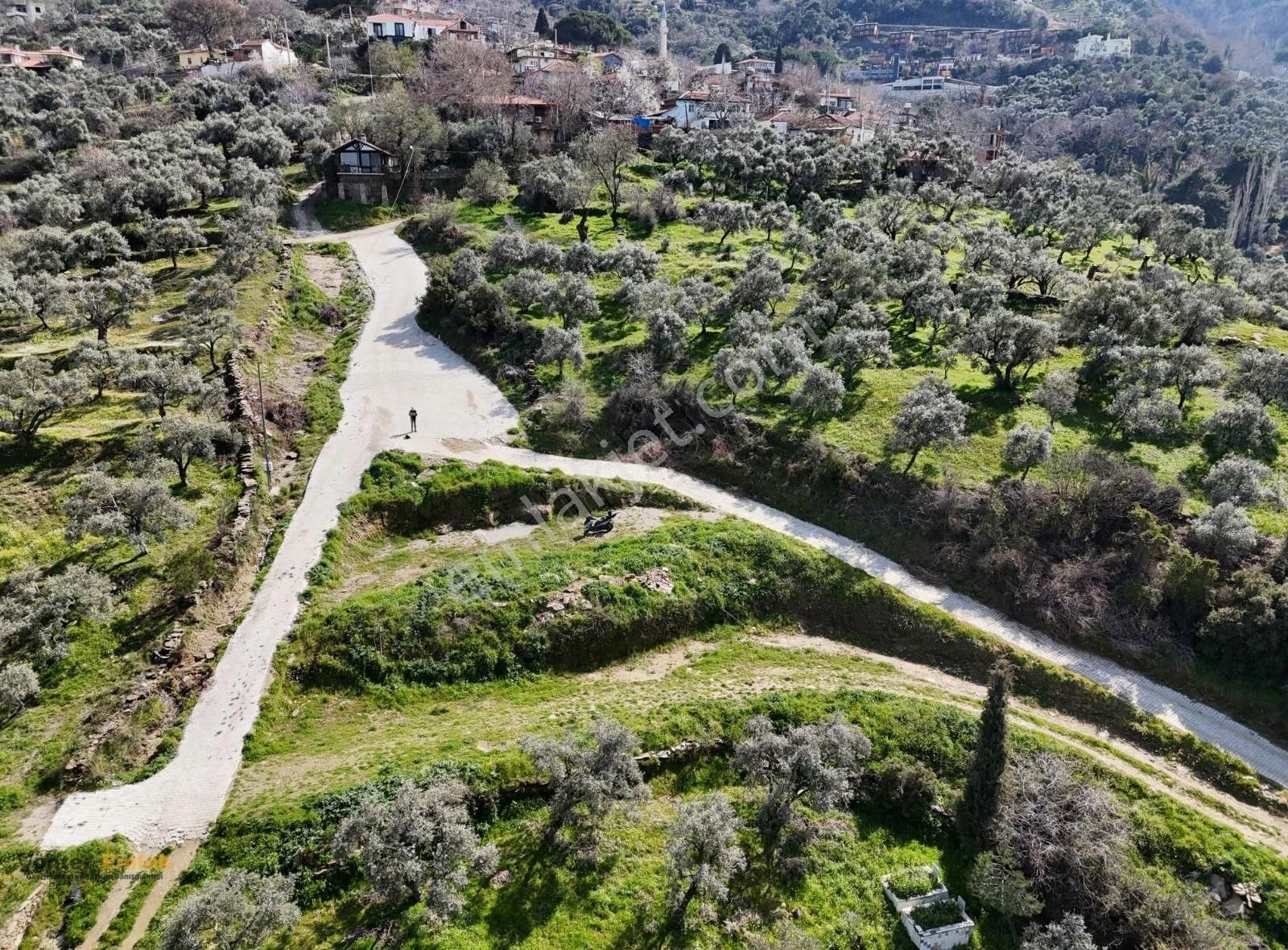 Yönter Emlaktan Kaplan'da 930 M² Arsa - Görsel 30