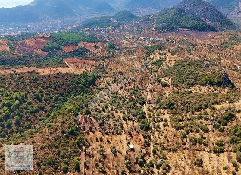 Marinden Palamutbükü Yakını 2.046m2 Resmi Yolu Olan Arazi - Görsel 3