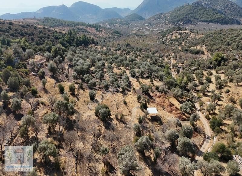 Marinden Palamutbükü Yakını 2.046m2 Resmi Yolu Olan Arazi - Görsel 6