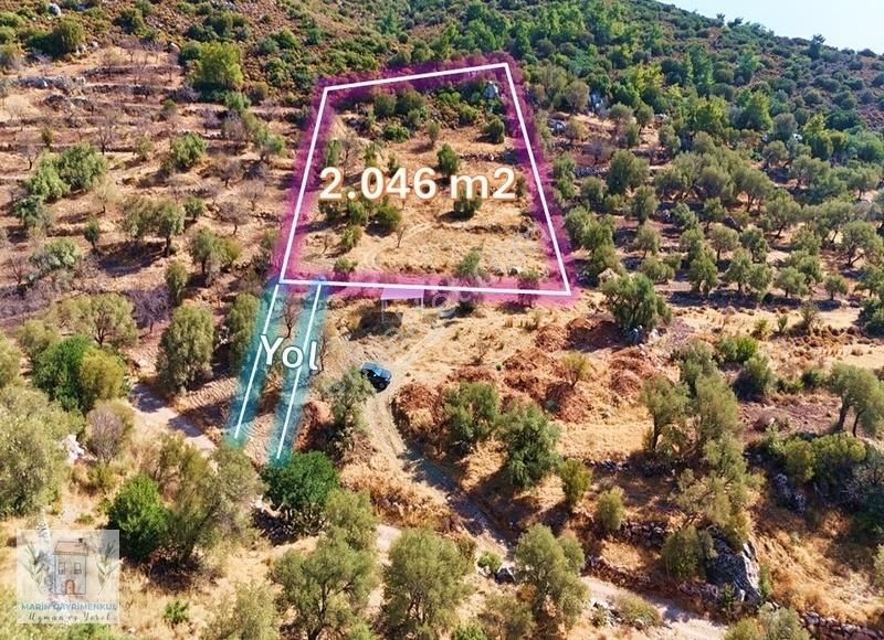 Marinden Palamutbükü Yakını 2.046m2 Resmi Yolu Olan Arazi - Görsel 9