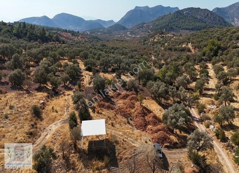 Marinden Palamutbükü Yakını 2.046m2 Resmi Yolu Olan Arazi - Görsel 7