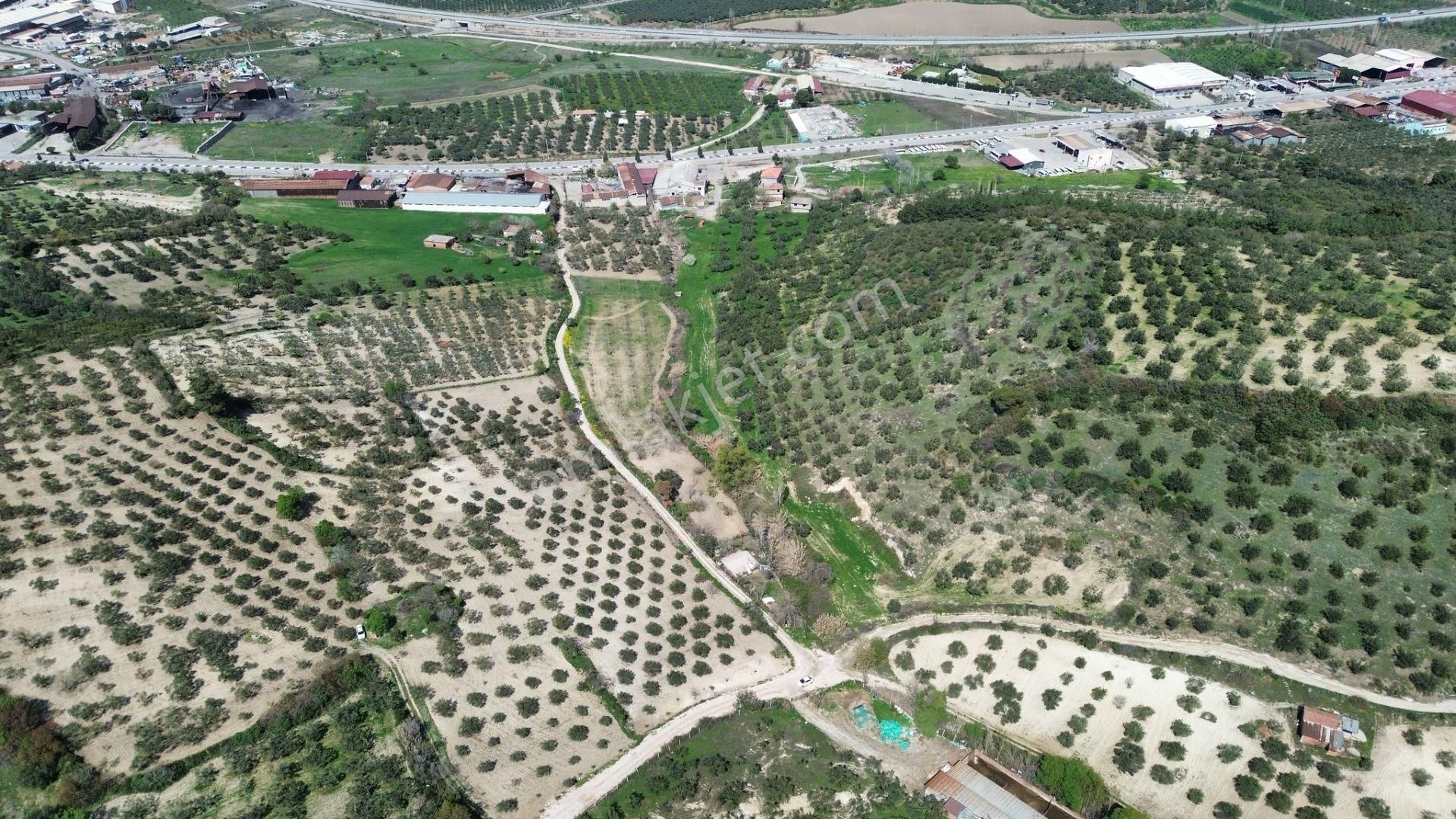 New Gyo 'dan Şehir Merkezine 1 Km Mesafede Satılık Çiftlik - Görsel 9