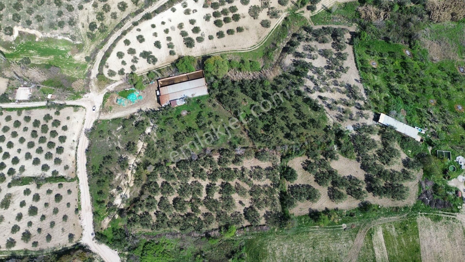 New Gyo 'dan Şehir Merkezine 1 Km Mesafede Satılık Çiftlik - Görsel 8