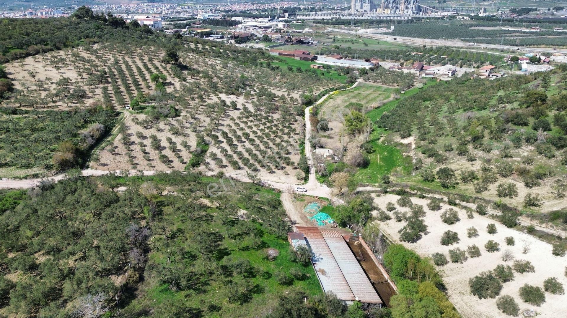 New Gyo 'dan Şehir Merkezine 1 Km Mesafede Satılık Çiftlik - Görsel 7