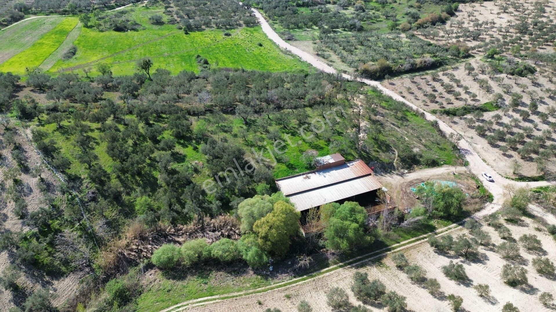New Gyo 'dan Şehir Merkezine 1 Km Mesafede Satılık Çiftlik - Görsel 6
