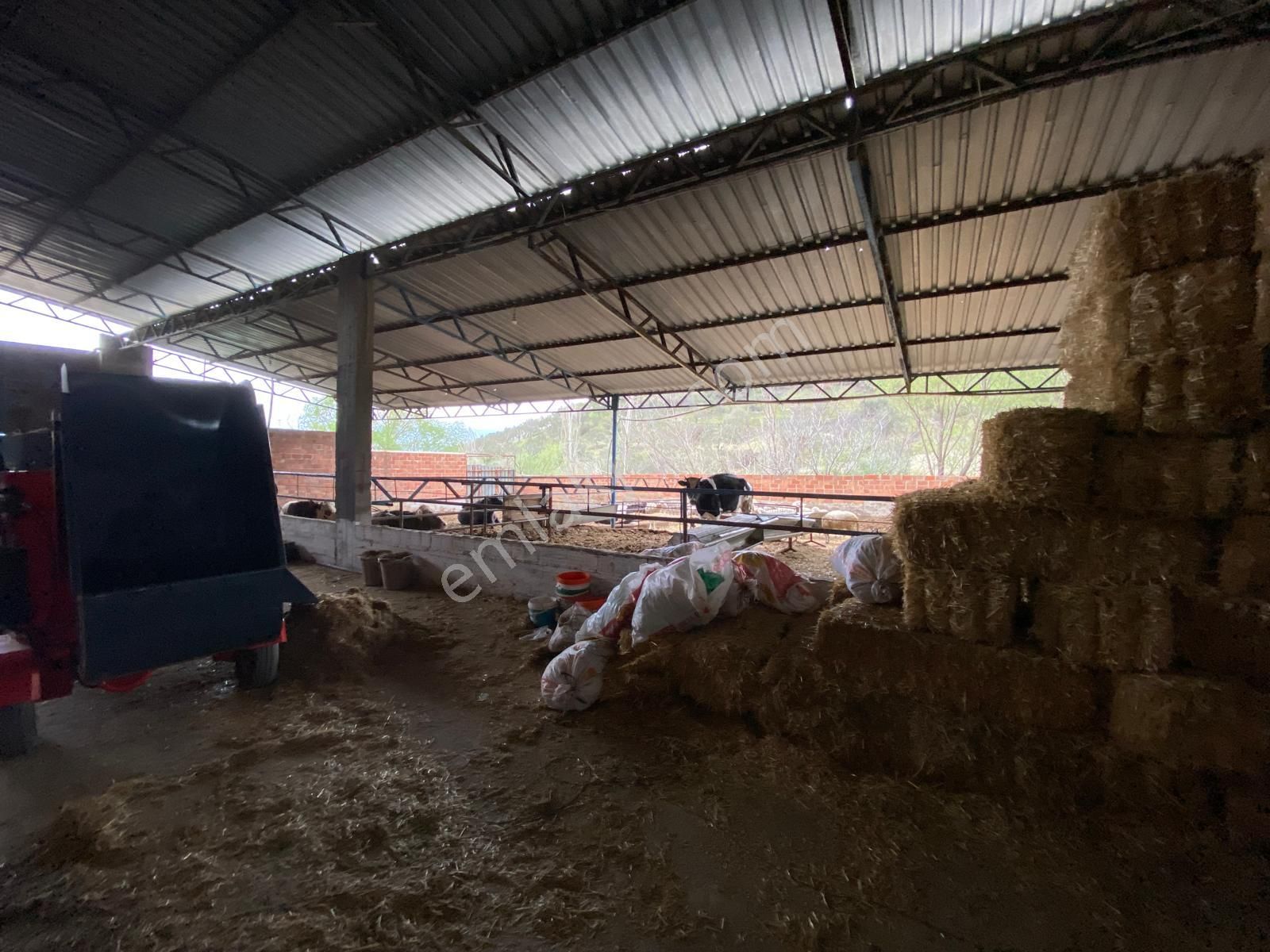 New Gyo 'dan Şehir Merkezine 1 Km Mesafede Satılık Çiftlik - Görsel 21