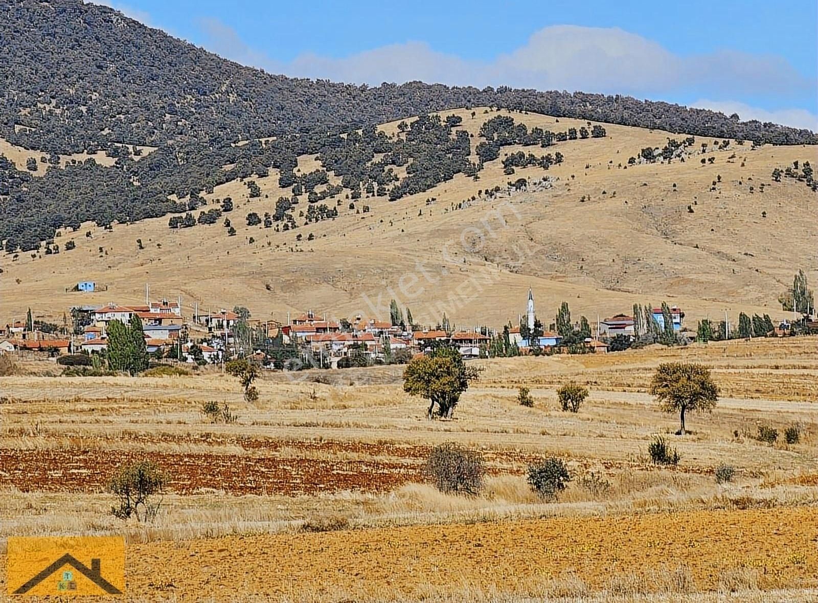 Termal Kaplıca Şehri Afyonkarahisar - Görsel 6