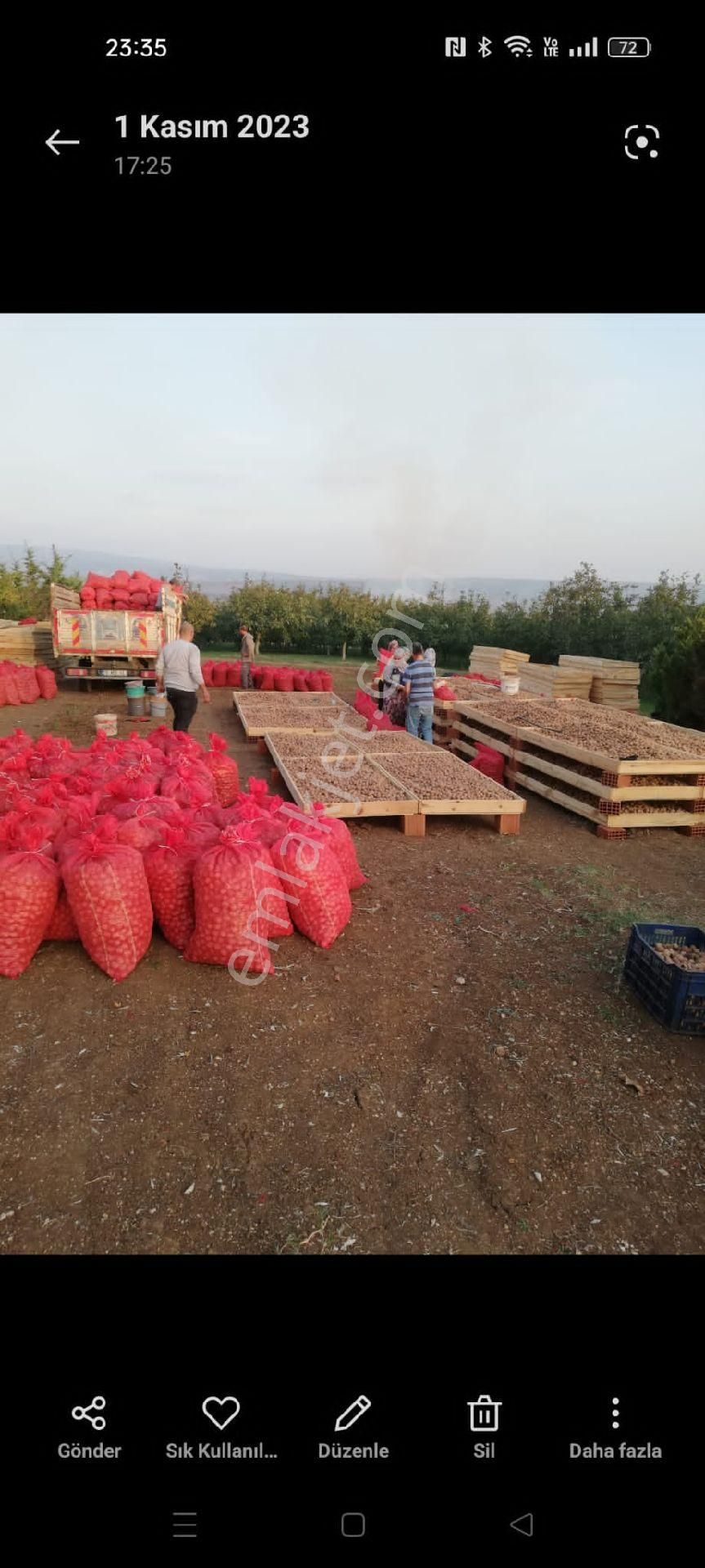 Satılık Balıkesir Bandırma'da 63 Dönüm Ceviz Bahçesi - Görsel 8