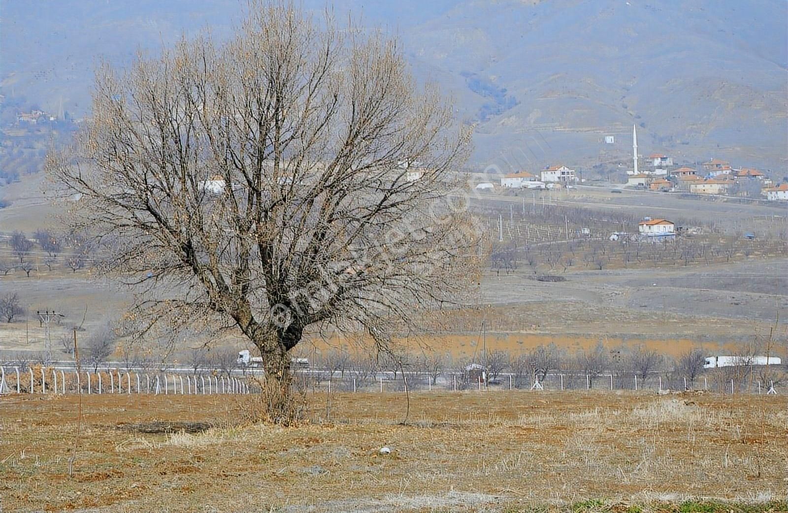 Malatya Merkeze Sadece 12 Km De Satılık Hobi Bahçeleri