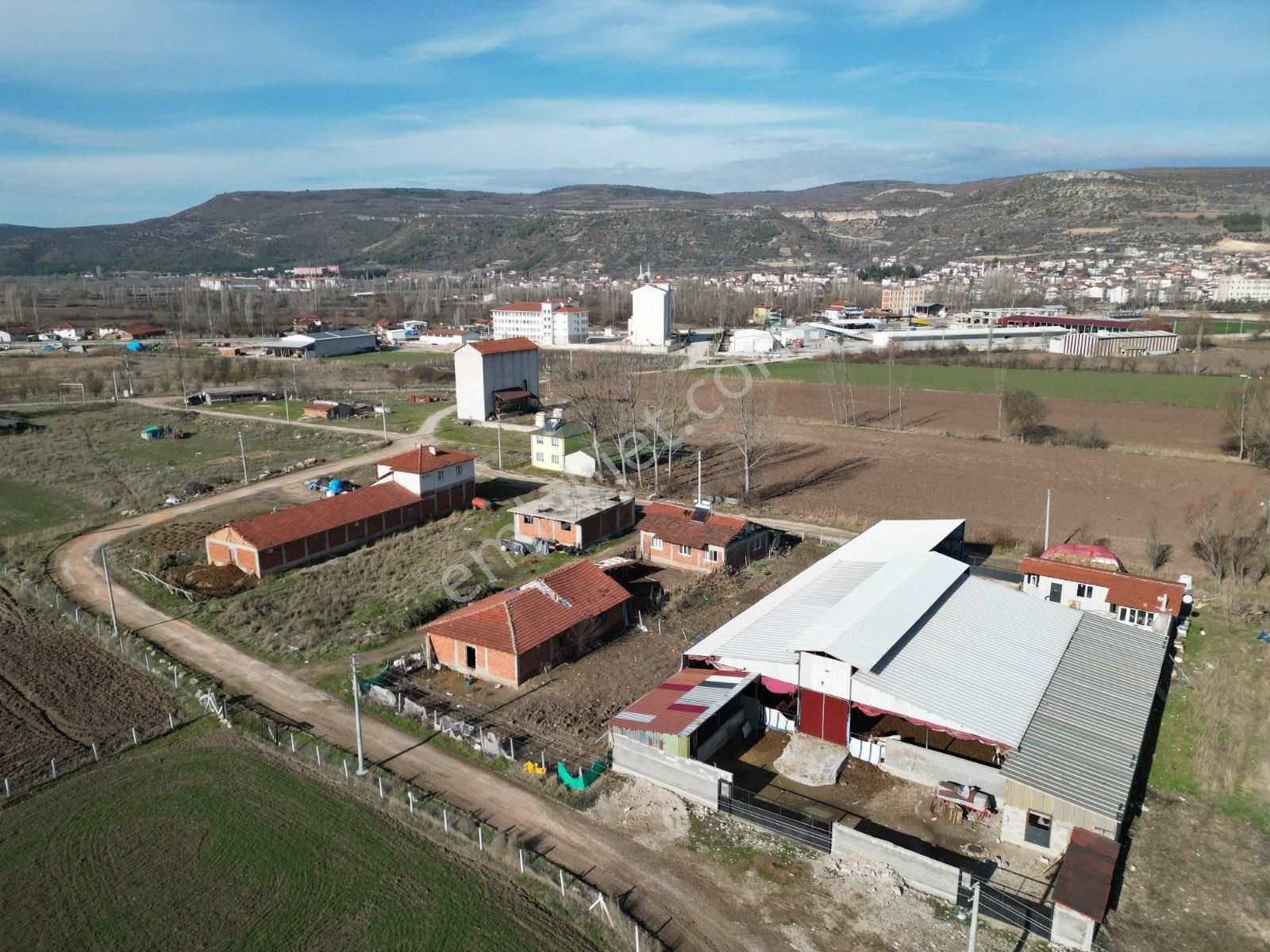 Bilecik Gölpazarı Çay Mah 6029m2 İmar Sınırında Arsa