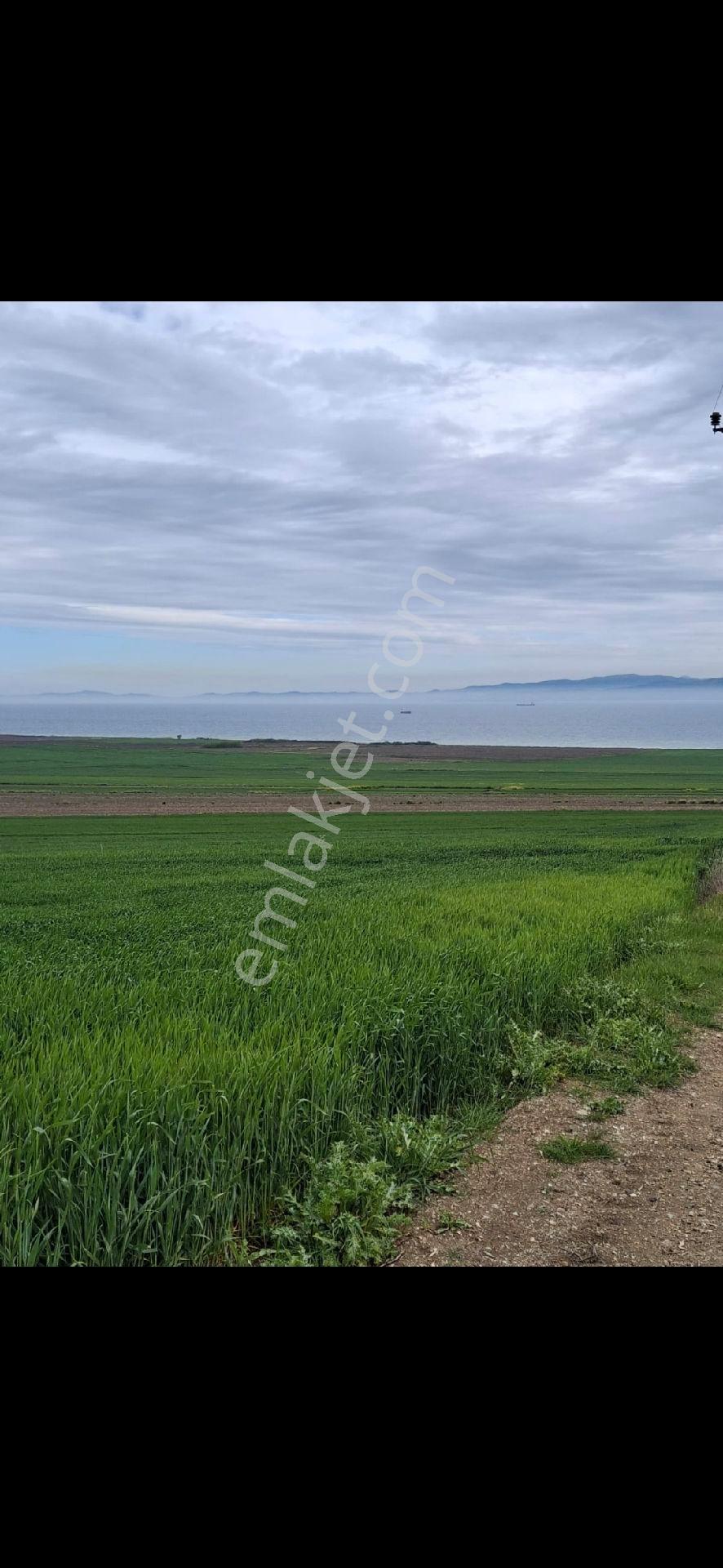 Çanakkale Gelibolu Demirtepe - Görsel 8