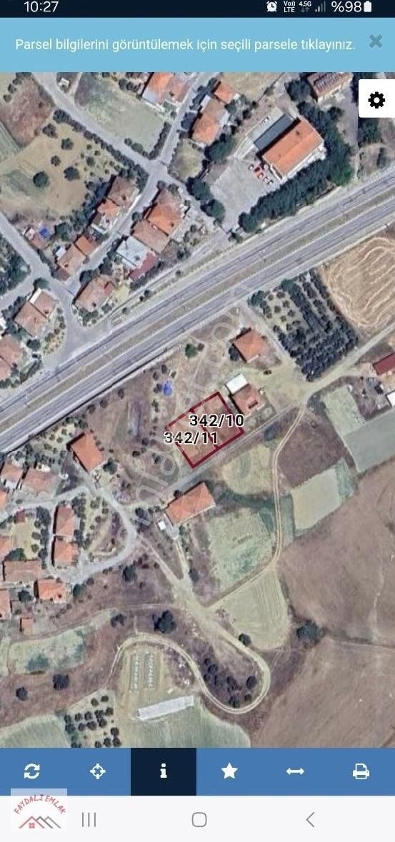 Manisa Köprübaşında 2 Adet Arslar