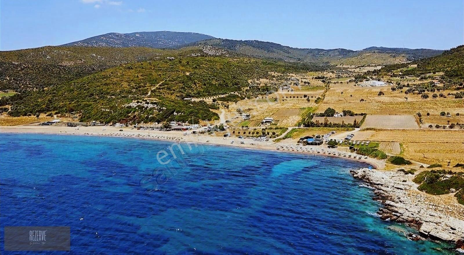 Yağcılar'da 17 Dönüm Zeytinlik Acil Satılık