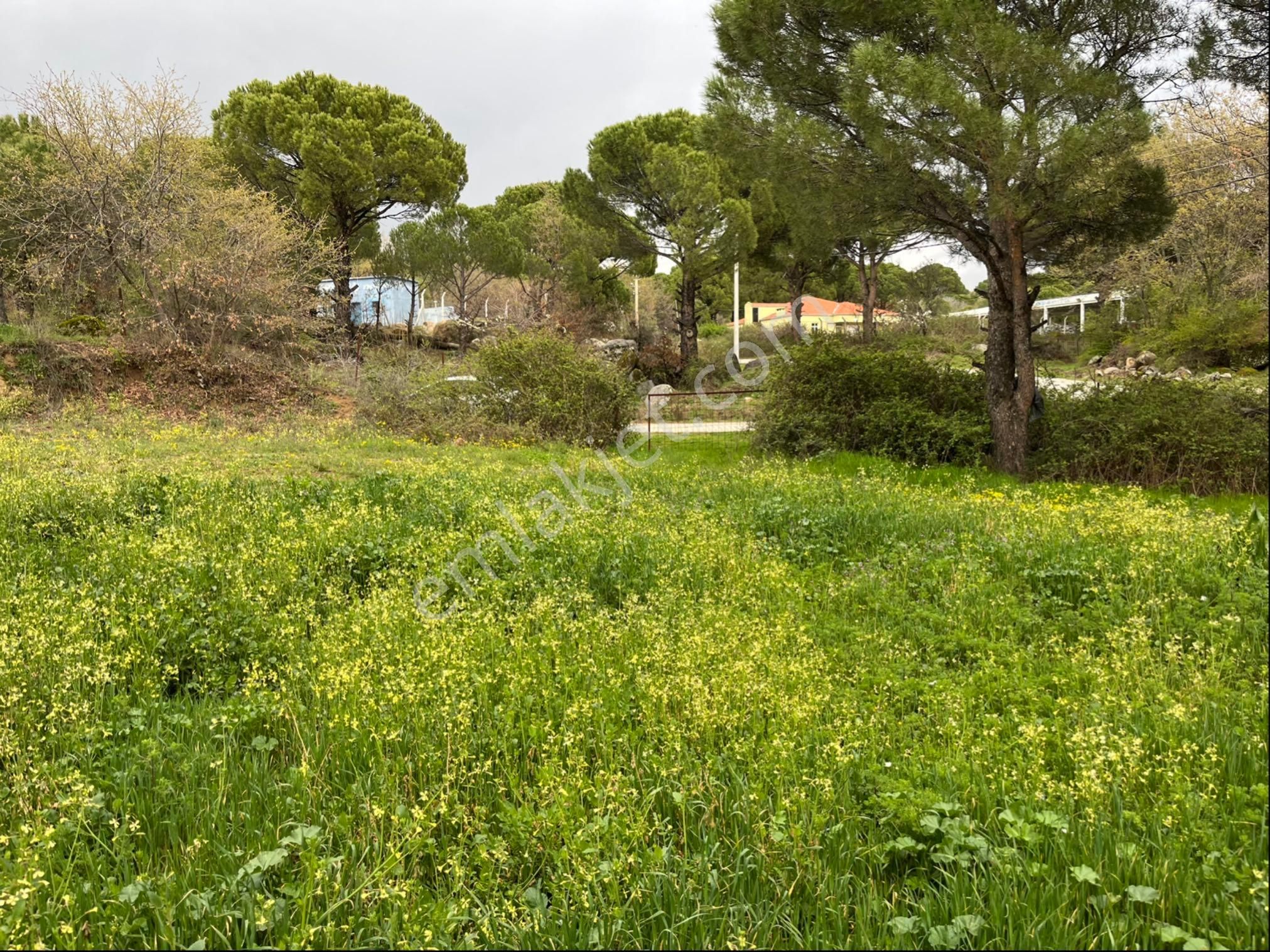 Satılık Arsa Tamda Yaylada 977 M2 İmarlı, Panoramik Manzaralı - Görsel 5