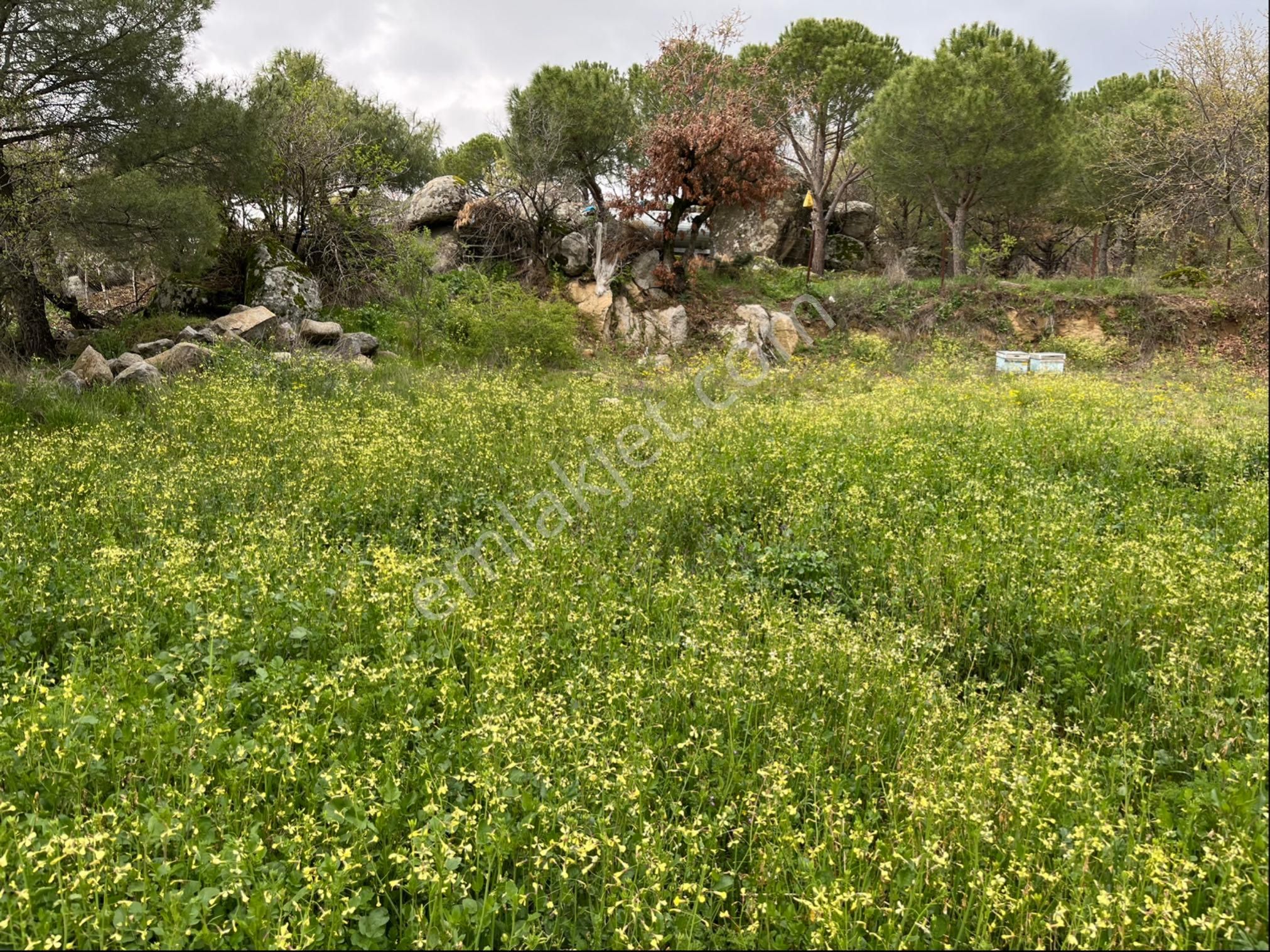 Satılık Arsa Tamda Yaylada 977 M2 İmarlı, Panoramik Manzaralı - Görsel 7