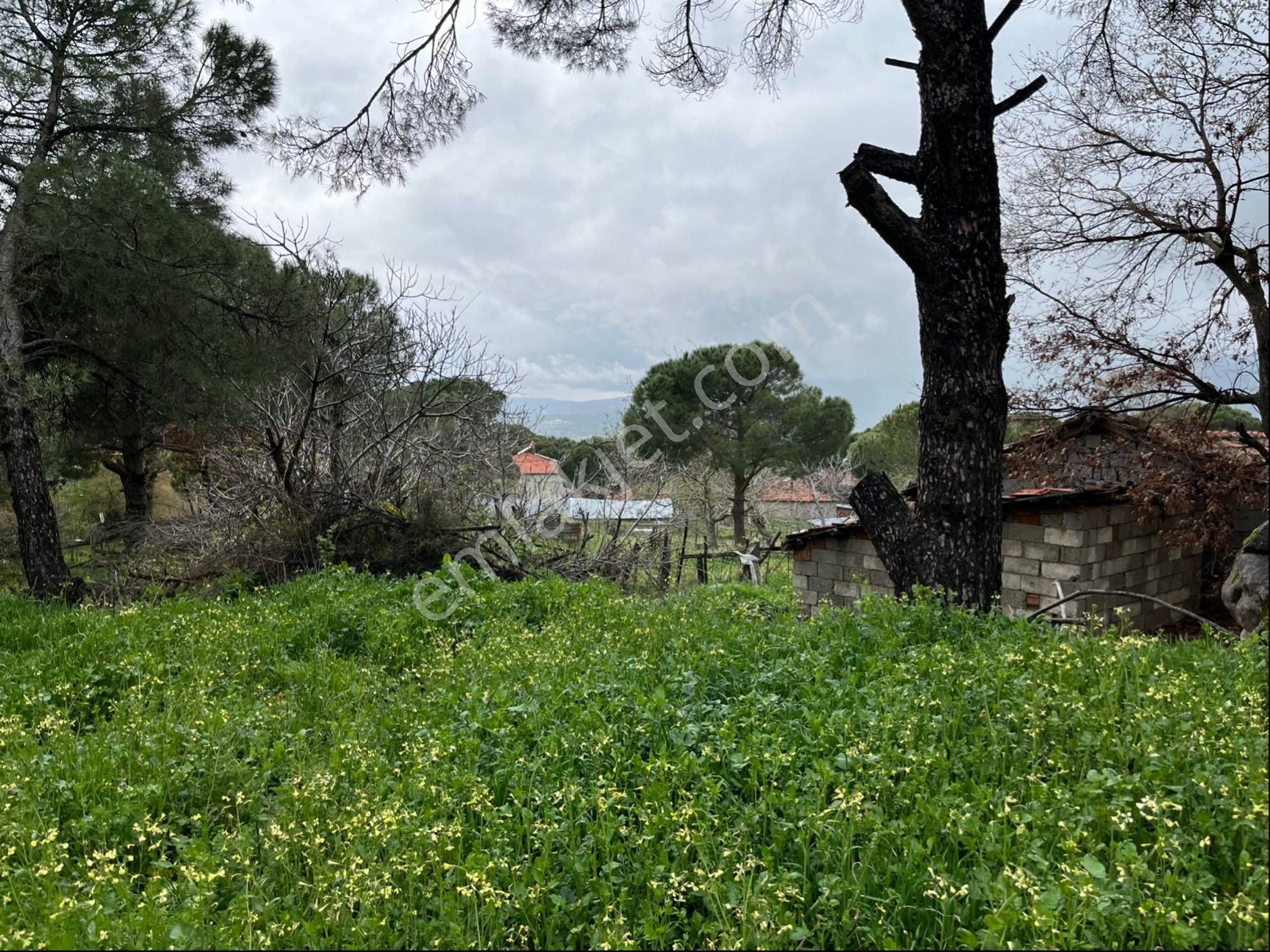 Satılık Arsa Tamda Yaylada 977 M2 İmarlı, Panoramik Manzaralı - Görsel 3