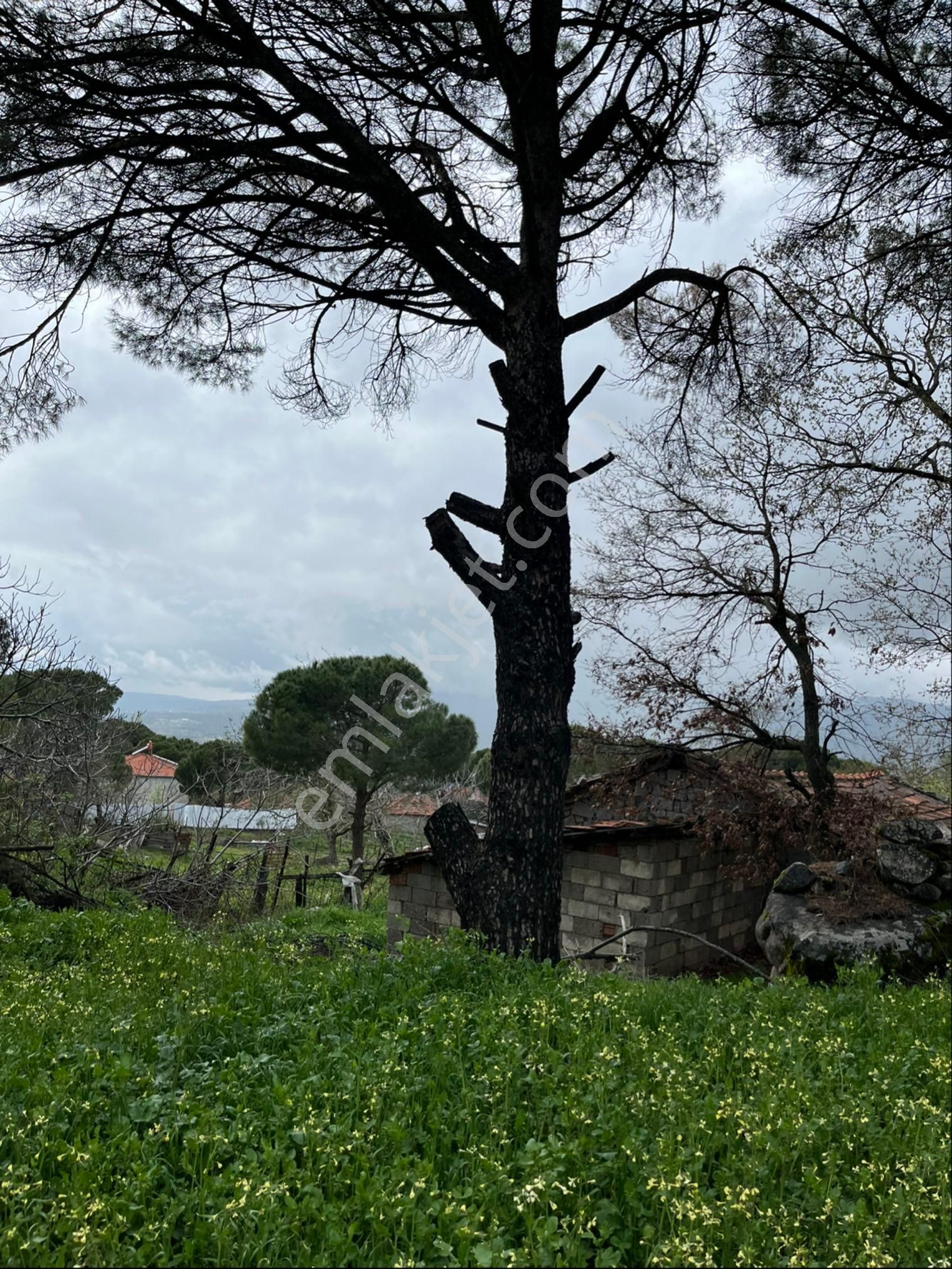 Satılık Arsa Tamda Yaylada 977 M2 İmarlı, Panoramik Manzaralı - Görsel 2