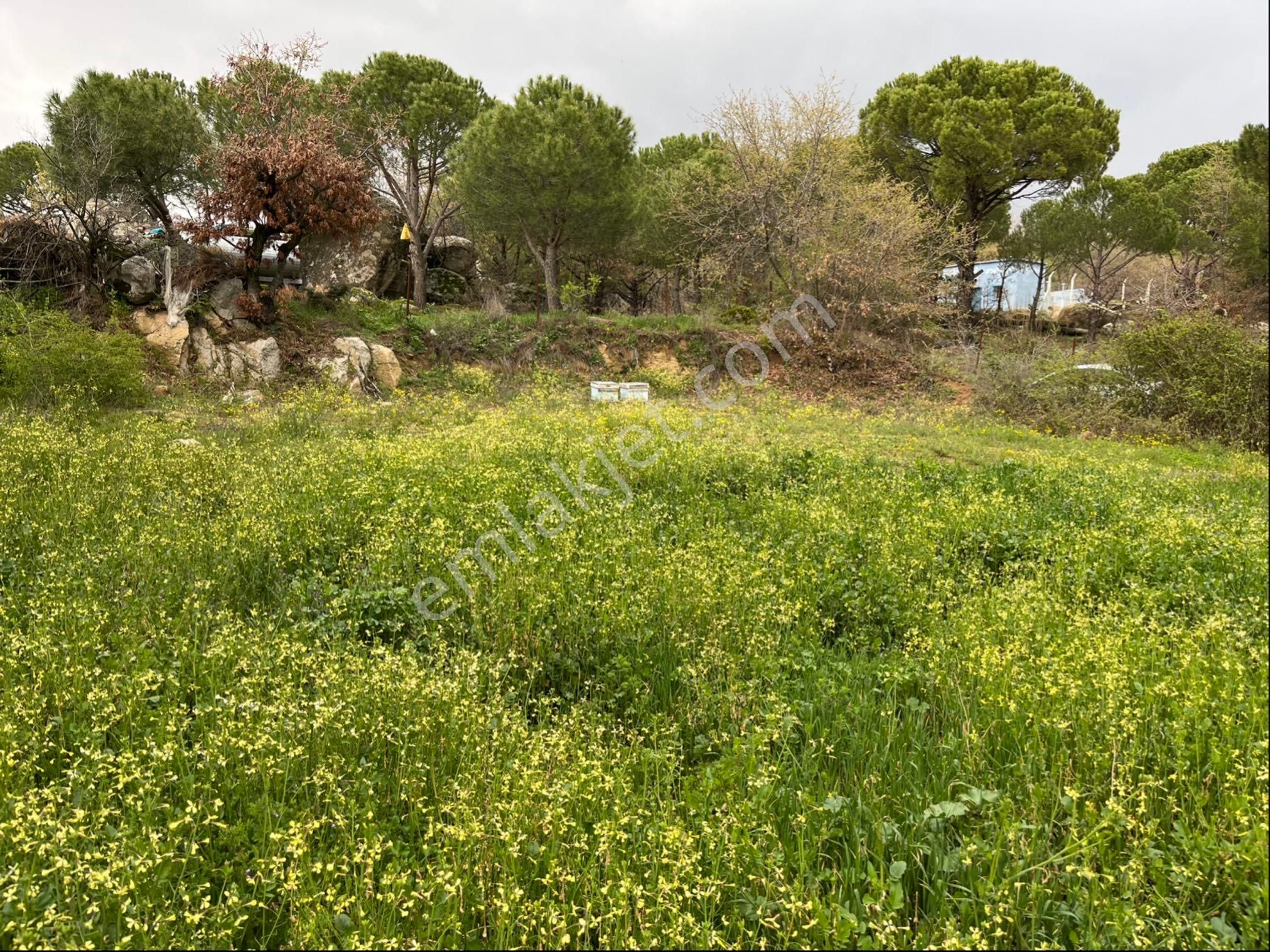 Satılık Arsa Tamda Yaylada 977 M2 İmarlı, Panoramik Manzaralı - Görsel 6