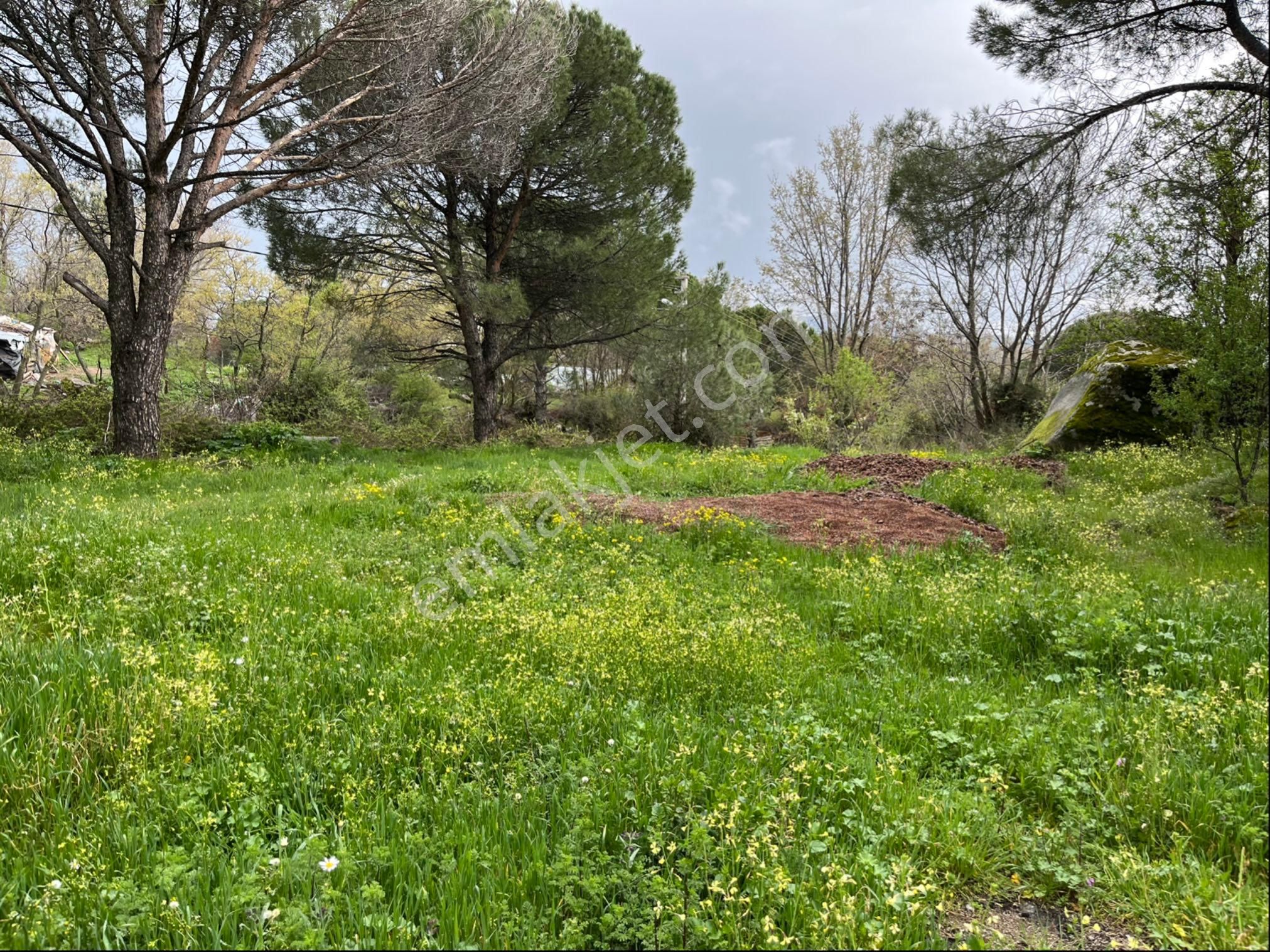 Satılık Arsa Tamda Yaylada 977 M2 İmarlı, Panoramik Manzaralı - Görsel 4