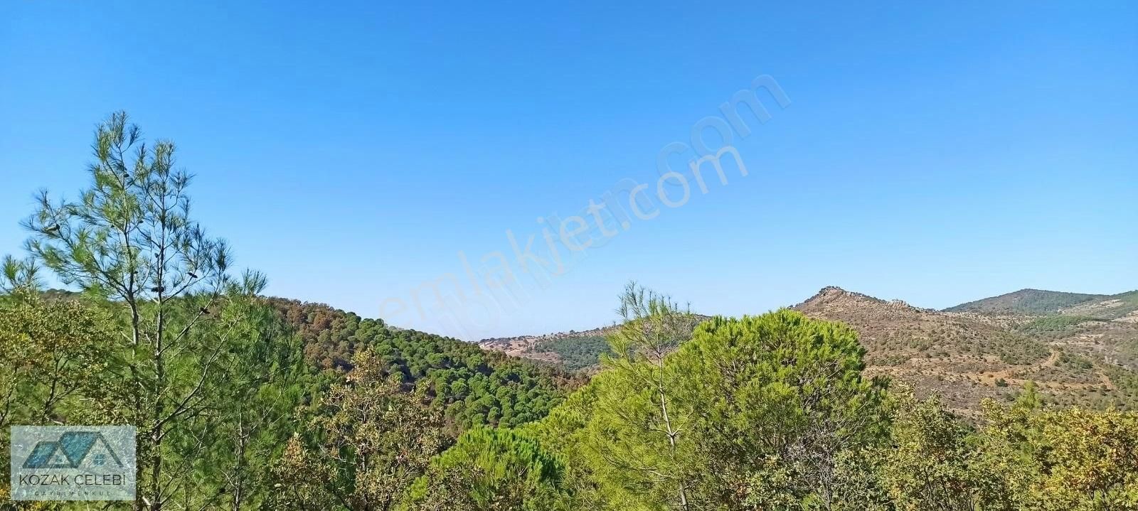 Balıkesir Ayvalık Kozak Yaylası 21 Dönüm Müstakil Tapu Çamlık