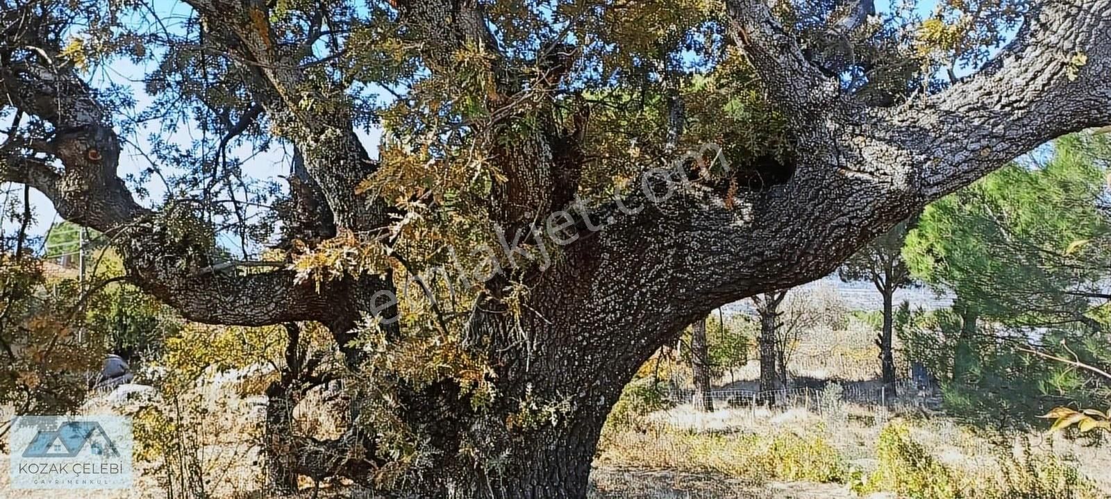 Kozak Yaylası 633 M2 İmarlı Arsa - Görsel 23