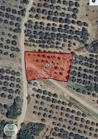 Üstünel'den Çekrice De 1.134 M² Yatırımlık Tarla