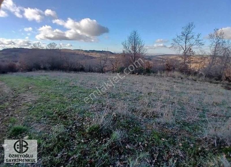 Şarköy Palamut Köyünde 3550 M² Tarla Aciliyetten Bu Fiyattır