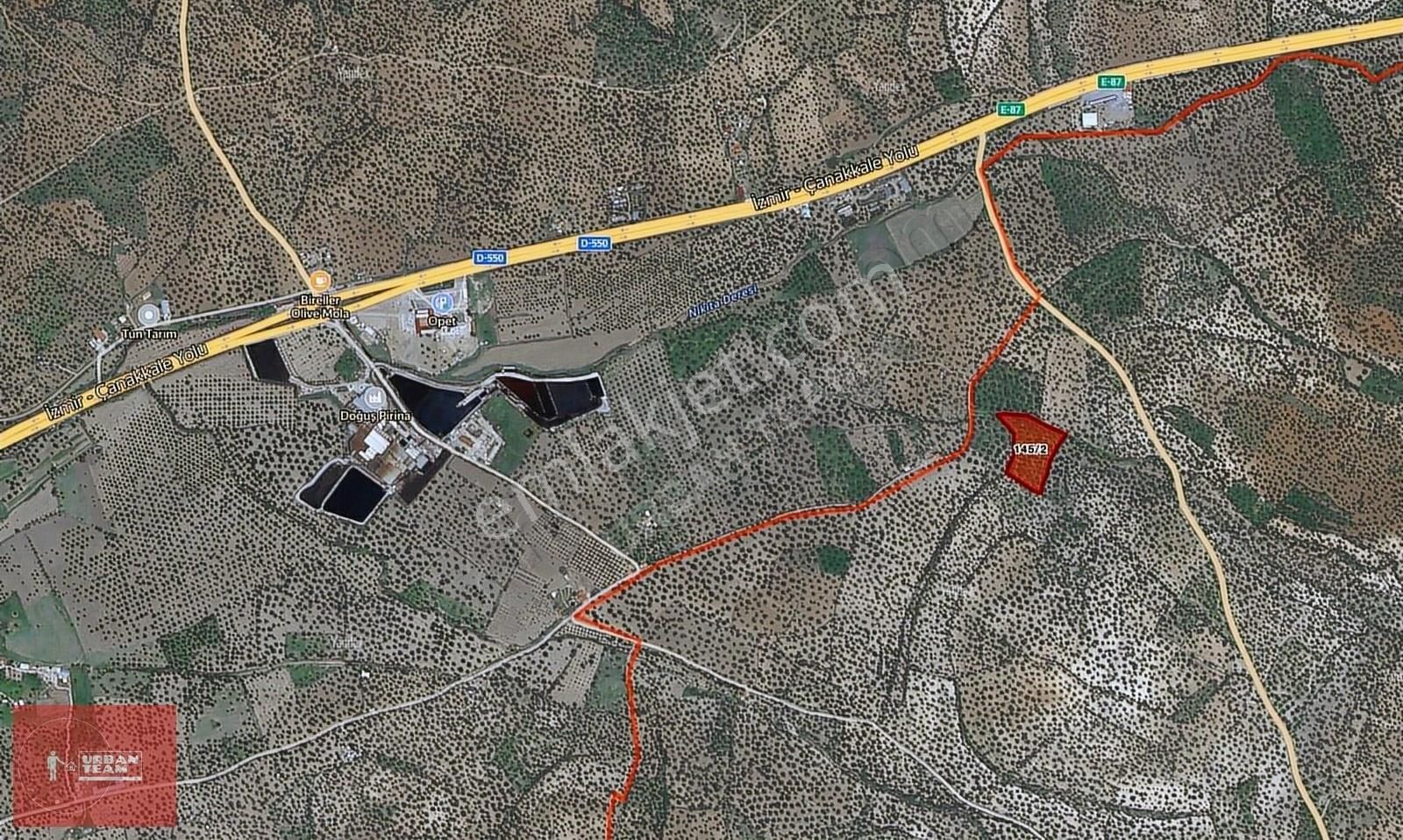 Ayvalık Murateli Yerleşime Yakın Tarihi 8145m2 Zeytinlik - Görsel 5