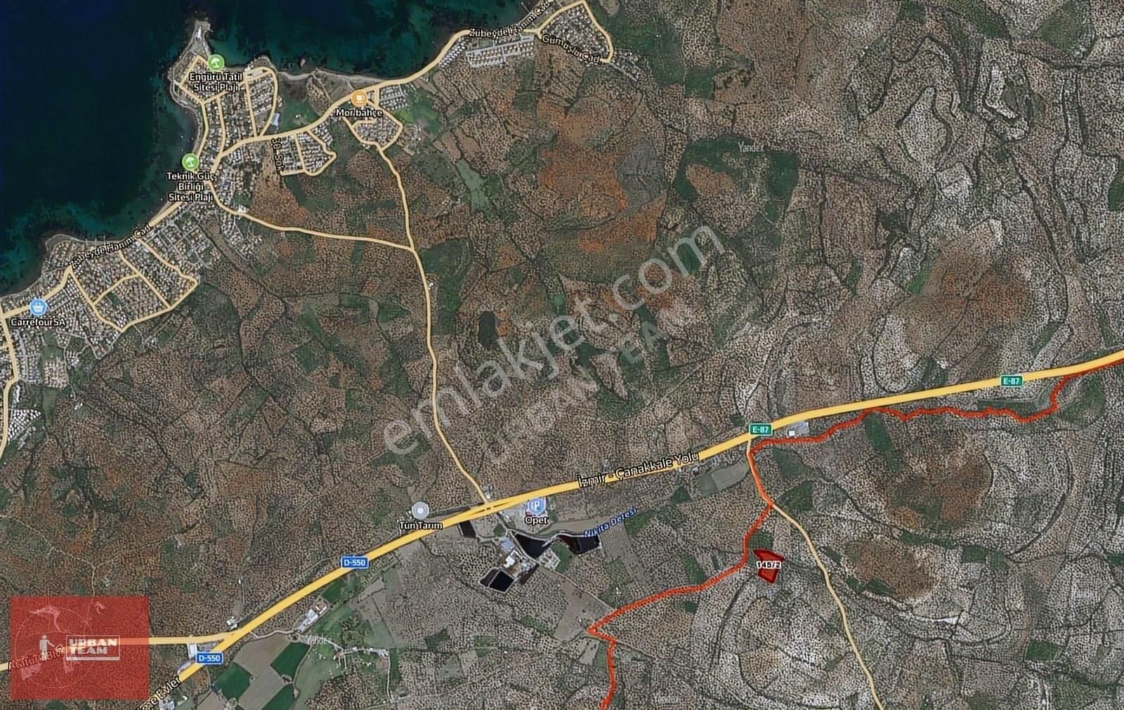 Ayvalık Murateli Yerleşime Yakın Tarihi 8145m2 Zeytinlik - Görsel 6
