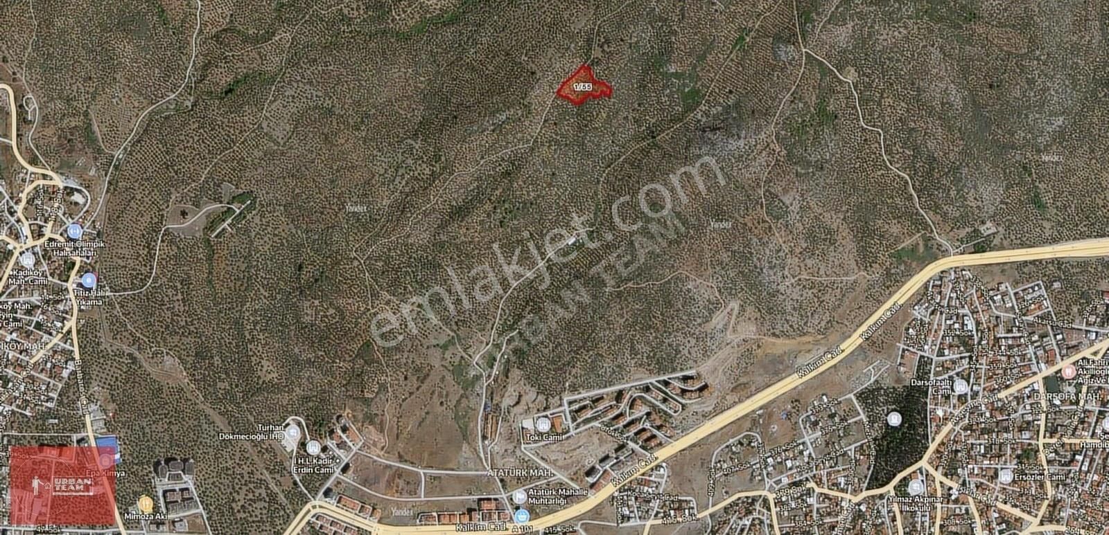 Edremit İmara Komşu Kadastral Yola Cepheli 6202m2 Zeytinlik - Görsel 6