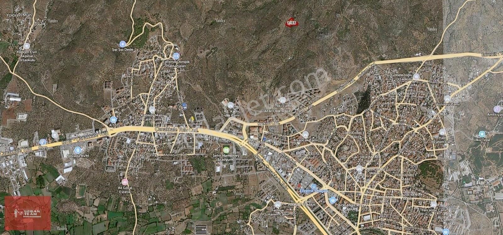 Edremit İmara Komşu Kadastral Yola Cepheli 6202m2 Zeytinlik - Görsel 4
