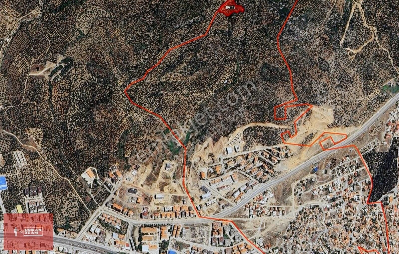 Edremit İmara Komşu Kadastral Yola Cepheli 6202m2 Zeytinlik - Görsel 7