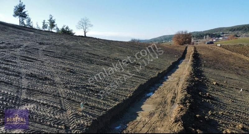 Bursa Kestel Ağlaşan Köyünde Yatırımlık Hobi Bahçeleri - Görsel 14