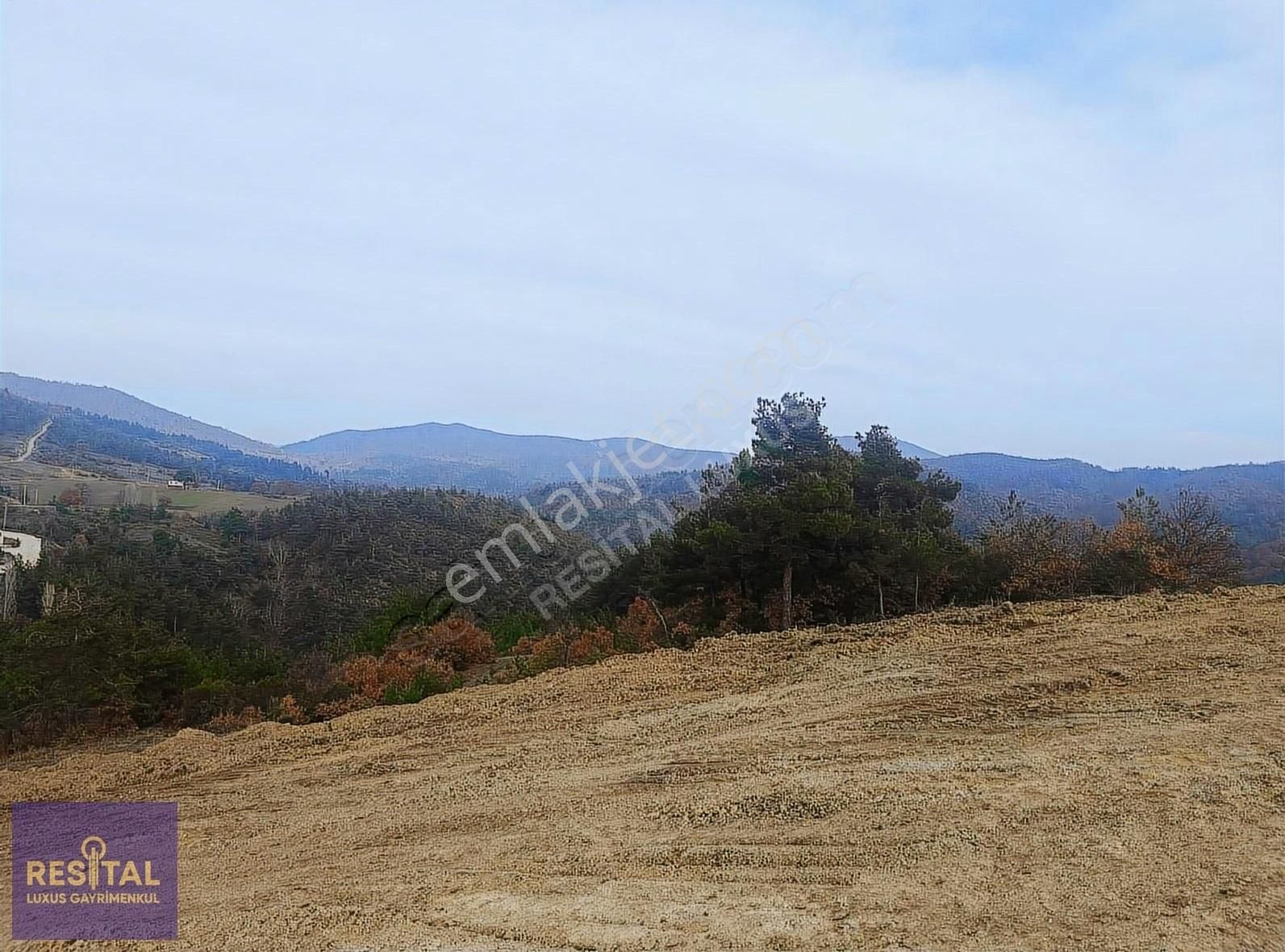 Bursa Kestel Ağlaşan Köyünde Yatırımlık Hobi Bahçeleri - Görsel 12