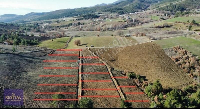 Bursa Kestel Ağlaşan Köyünde Yatırımlık Hobi Bahçeleri - Görsel 9