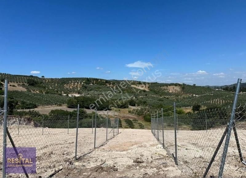 Mudanya Çınarlı 'da 200 M2 Hobby Bahçeleri