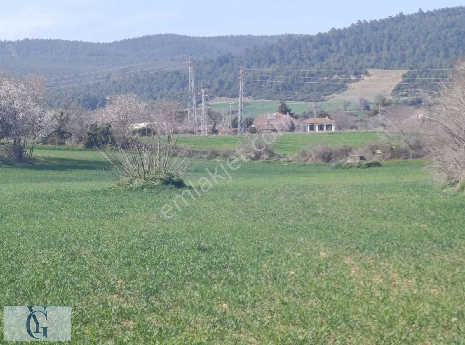 Yağız Gayrimenkul Den Satılık Köye Yakın Yatırımlık Arsa