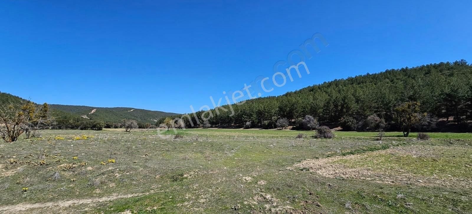 Çizgi'den 7/24 Doğal Kaynak Suyu Bulunan 1848 M² Hobi Bahçesi