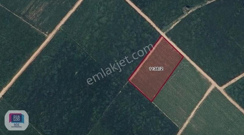 Karacabey Canbalı Yola Cephe 4600m2 Yatırımlık Tarla Dialog Söz
