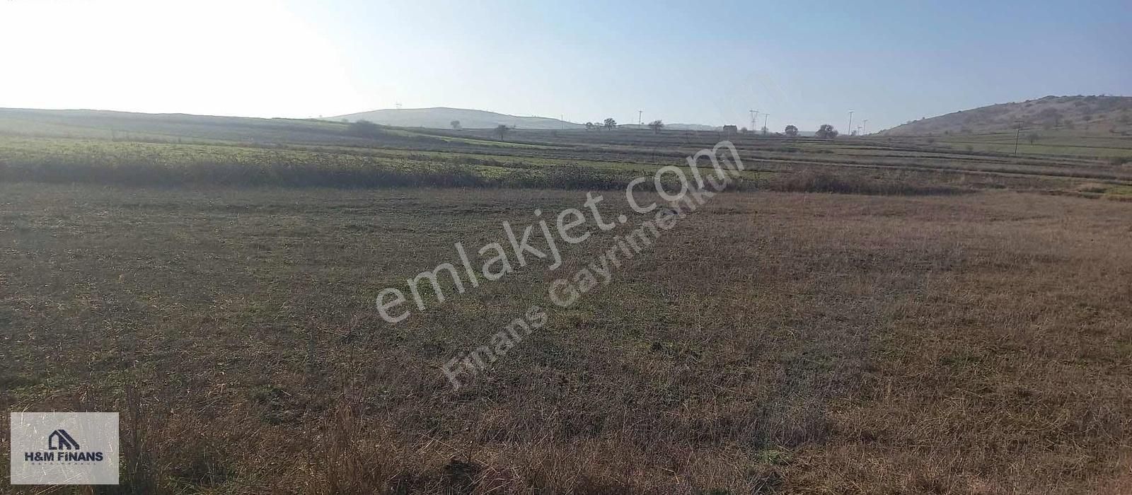 Balıkesir Karesi Kırmızılarda 5 Dönüm Satılık Tarla