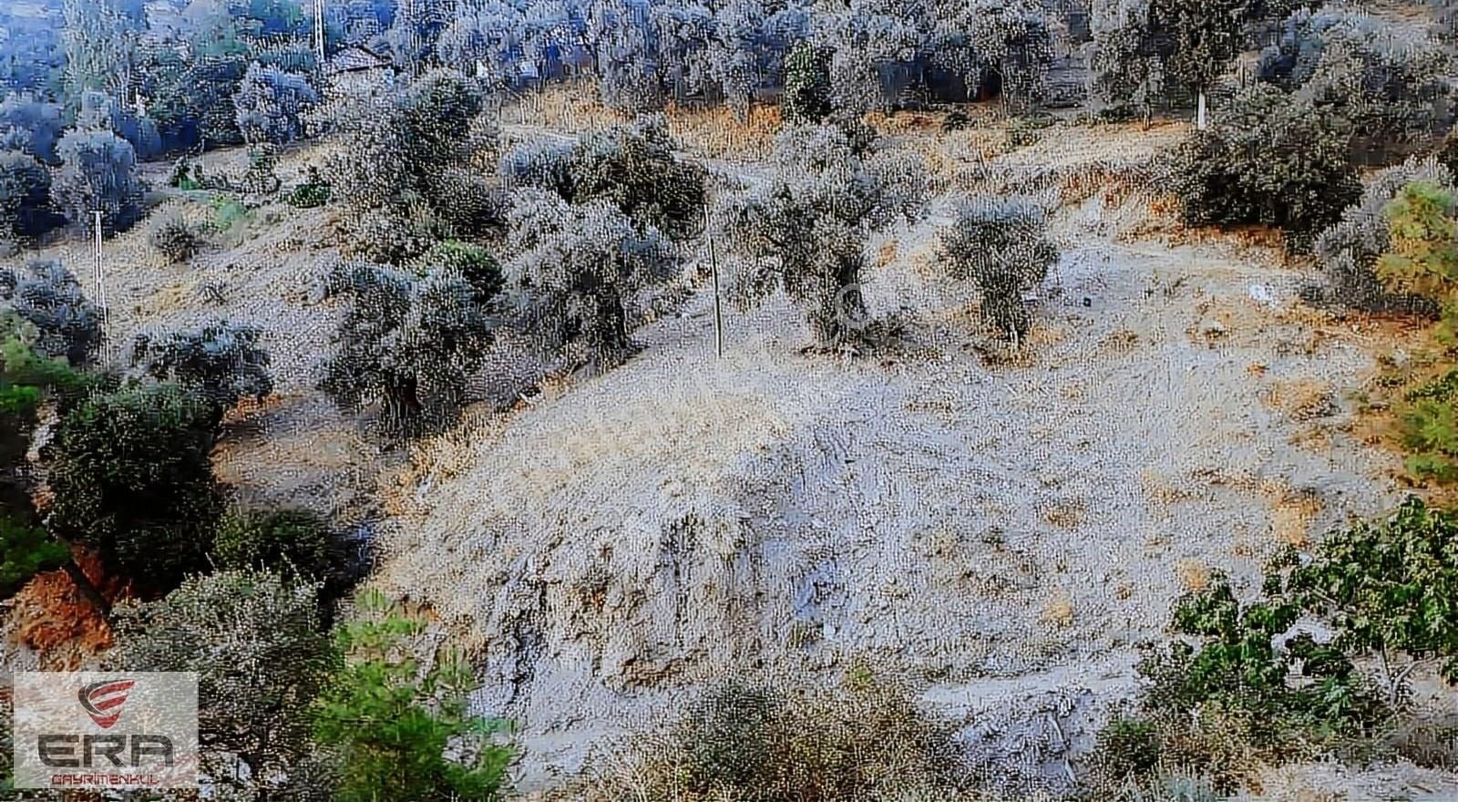 Era'dan Gözpınar'da Köyiçinde Fırsat Arazi - Görsel 6