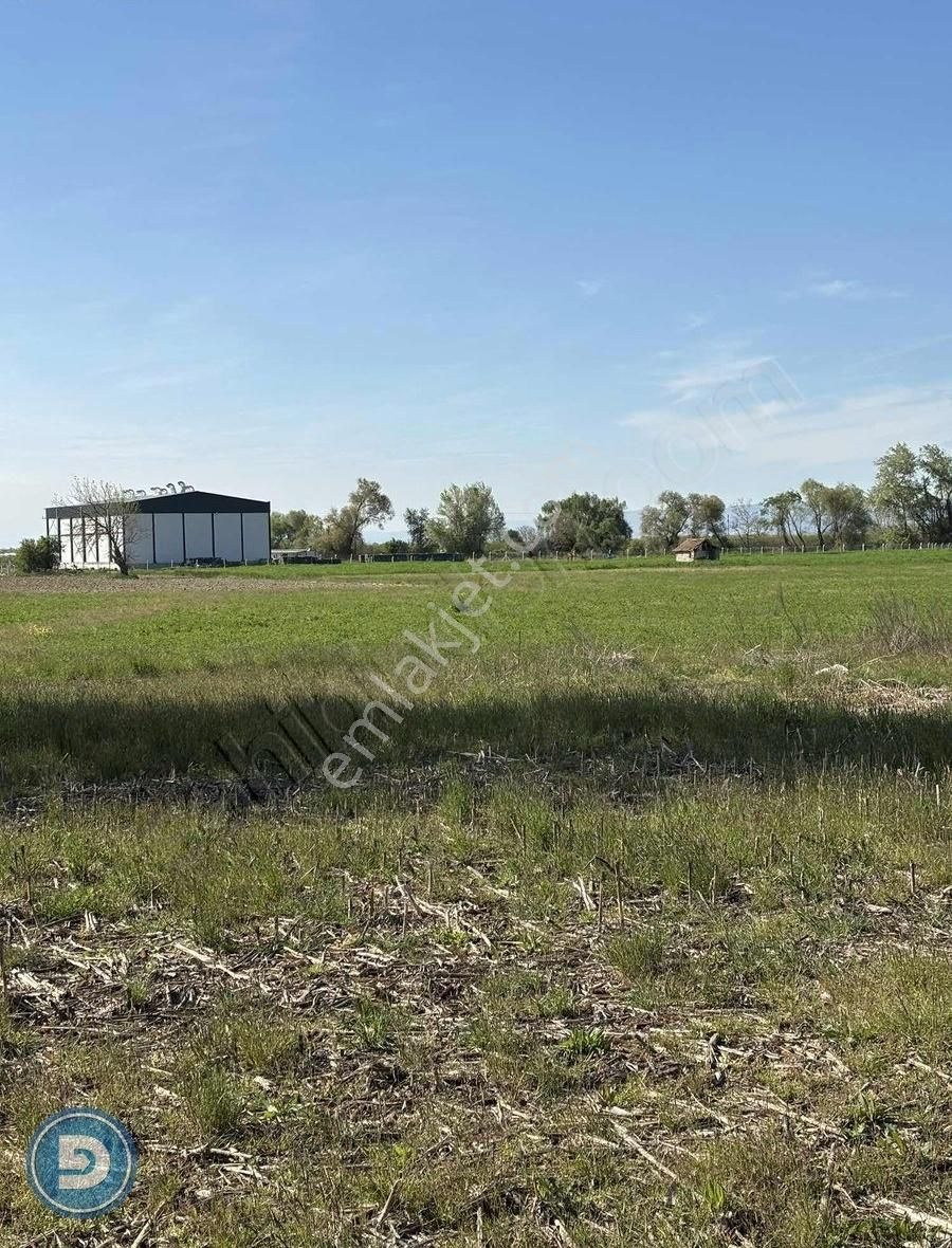 Dost Emlaktan "satılık " M.kemalpaşa Orta Mahallede 5562m2 Tarla