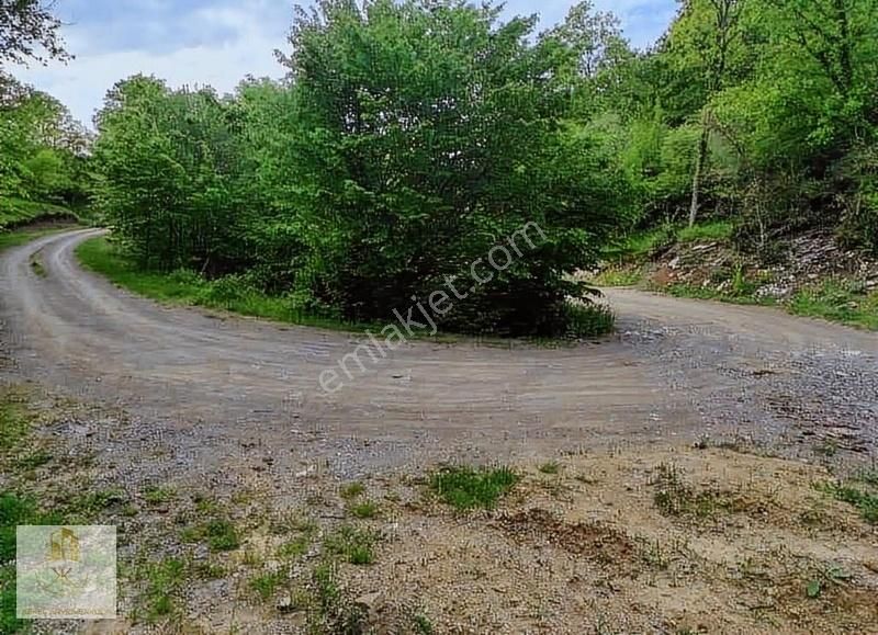 Derince Kaşıkcı Koyun Satılık 454 M2 Yatırımlık Arazi