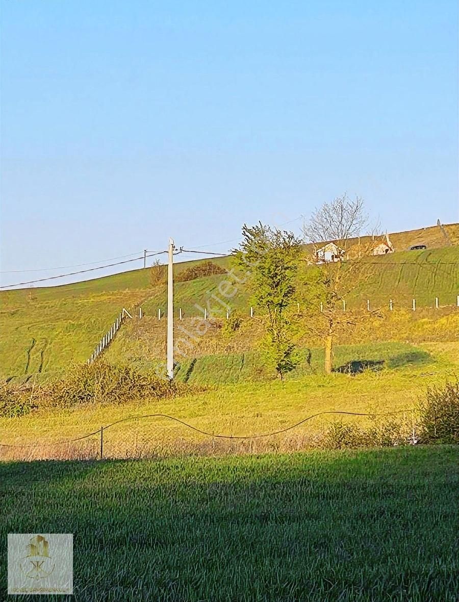 Körfez/çıraklı Köyü Satılık 903 M2 Arazi