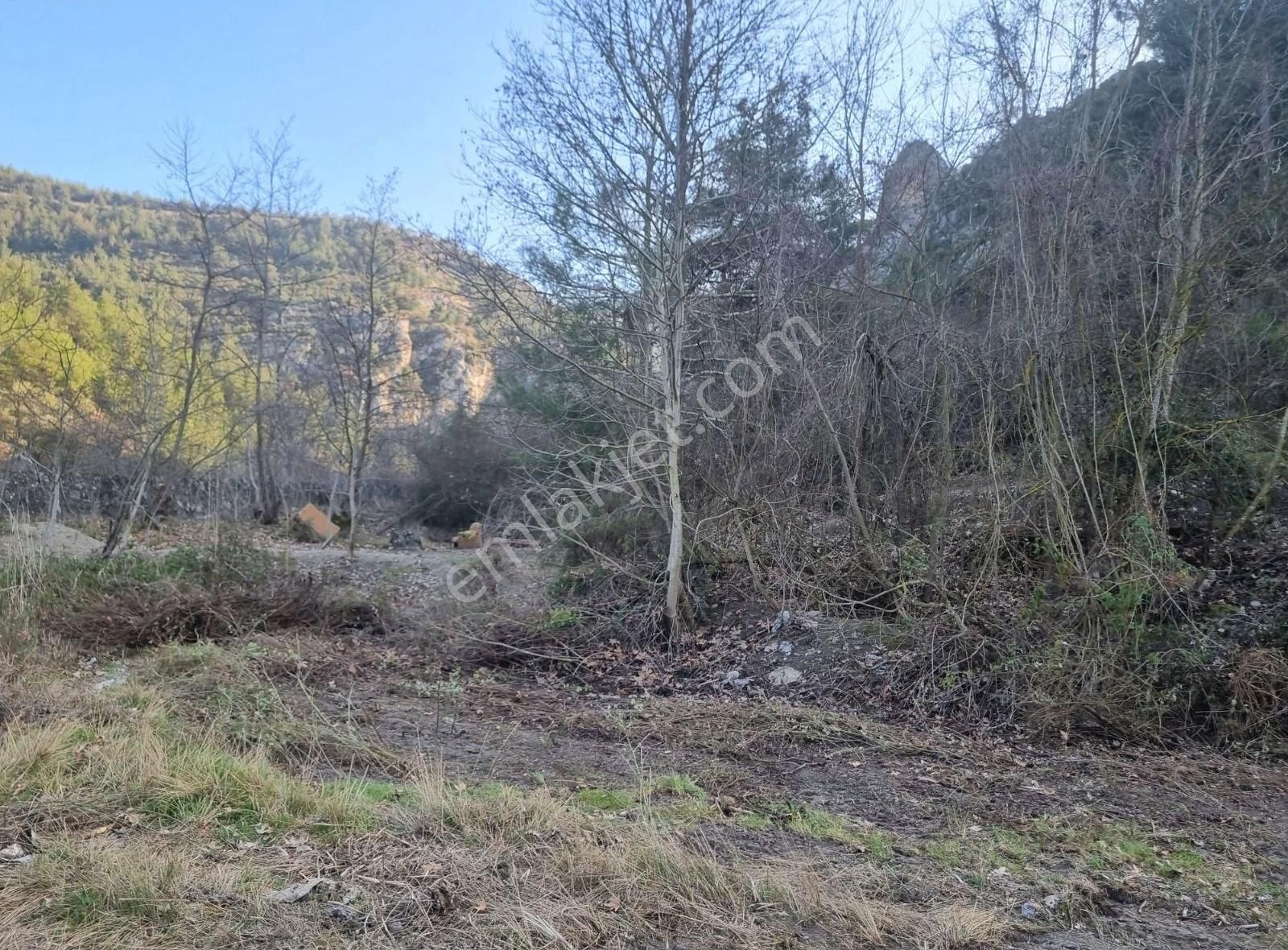 Geyve Kozan Mahallesinde 448 M² Bahçe - Görsel 15