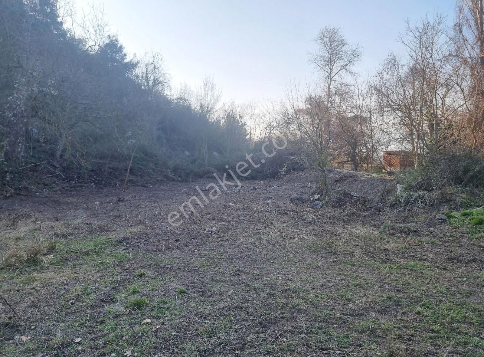Geyve Kozan Mahallesinde 448 M² Bahçe - Görsel 8