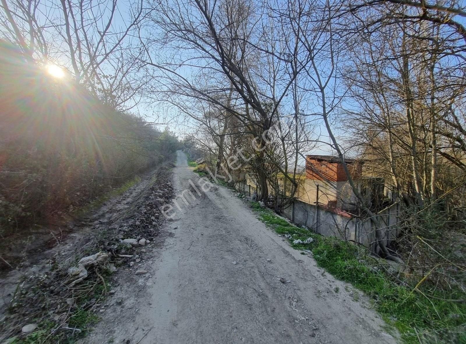Geyve Kozan Mahallesinde 448 M² Bahçe - Görsel 2