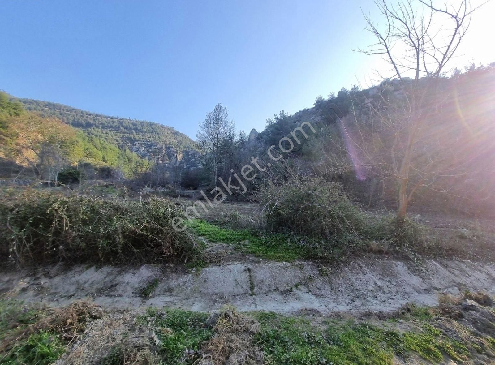 Geyve Kozan Mahallesinde 448 M² Bahçe - Görsel 4